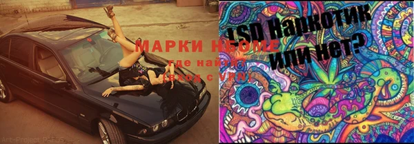 стафф Баксан